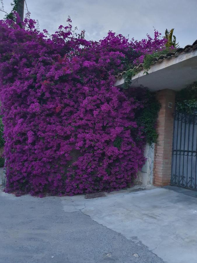 La Latomia Villa Nei Pressi Del Teatro Greco Syracuse Exterior foto
